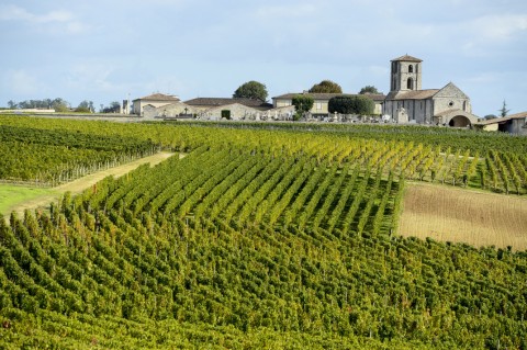 Le château Trolong-Mondot un vignoble de Saint-Emilion