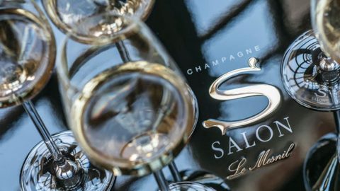 Champagne Salon, unique en son genre. Vinoptimo