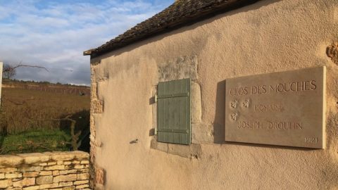 Le Clos des Mouches de la Maison Drouhin, Bourgogne. Vinoptimo