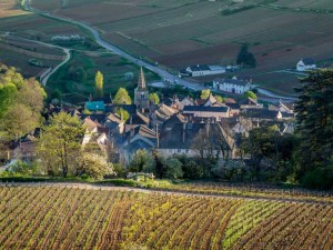 Les climats de Bourgogne au Patrimoine mondial de l’UNESCO ?