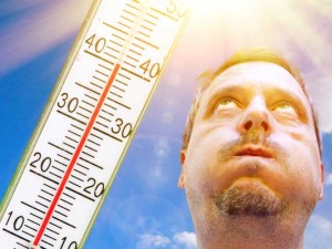 Canicule : quelle température de conservation du vin ?