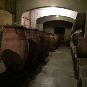 Au domaine Viret, le vin est élaboré dans des amphores.