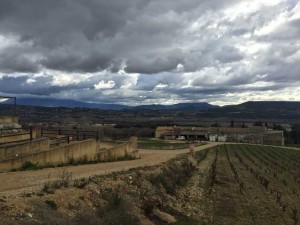 En virée au domaine Viret : dans les vignes du Paradis