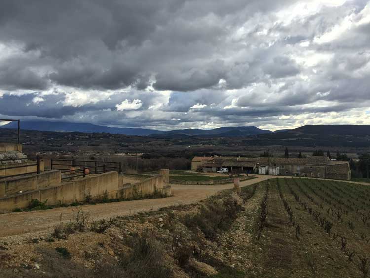 Au domaine Viret, des vignes en ciel et terre.