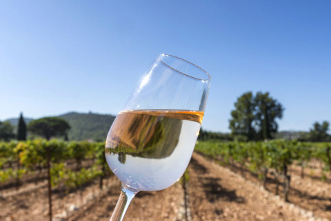 La fabrication du vin rosé : un mode de vinification ancestral