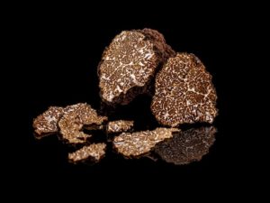 Pour traiter les truffes avec magnificence, quel champagne choisir ?