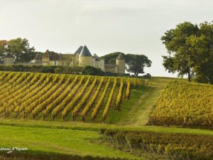 Excursion dans le vignoble bordelais