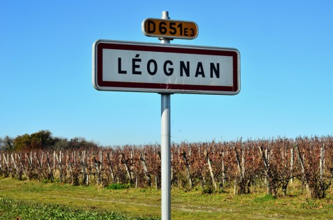Le domaine Haut Brion à Léognan