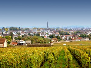 La saga familiale du Domaine des Comtes Lafon