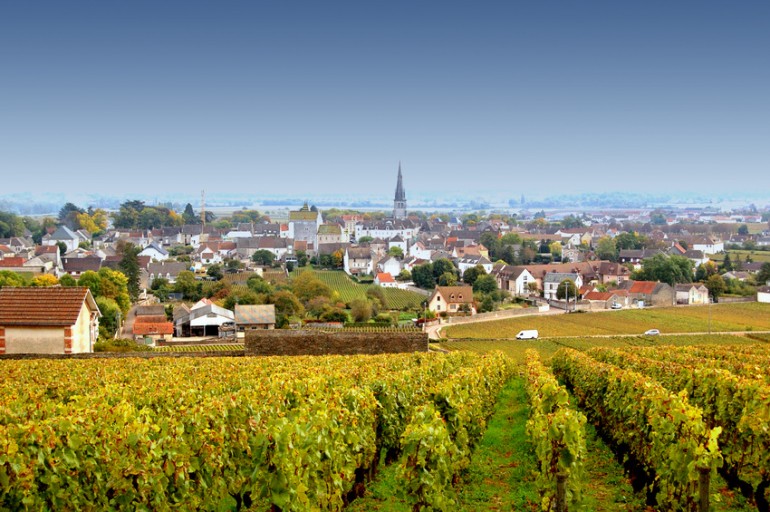 Domaine des Comtes Lafon - Meursault