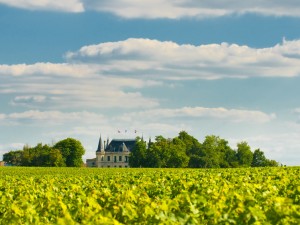 Château Margaux : le seigneur de l’appellation