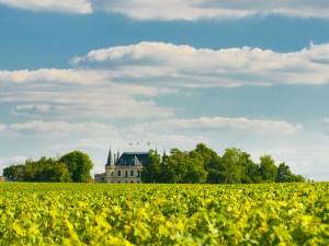 Château Margaux : le seigneur de l’appellation