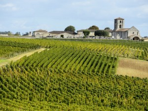 Troplong Mondot un grand vignoble de Saint-Emilion