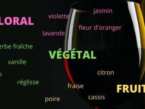 Les grandes familles aromatiques du vin