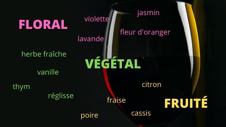 Les arômes du vin. Vinoptimo