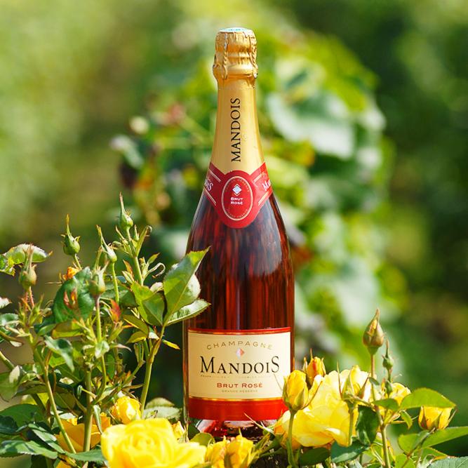 Bon plan champagne, la Maison Mandois. Vinoptimo