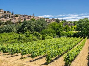 Le Conseil Interprofessionnel des Vins de Provence joue la qualité