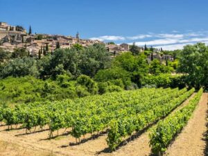 Le Conseil Interprofessionnel des Vins de Provence joue la qualité
