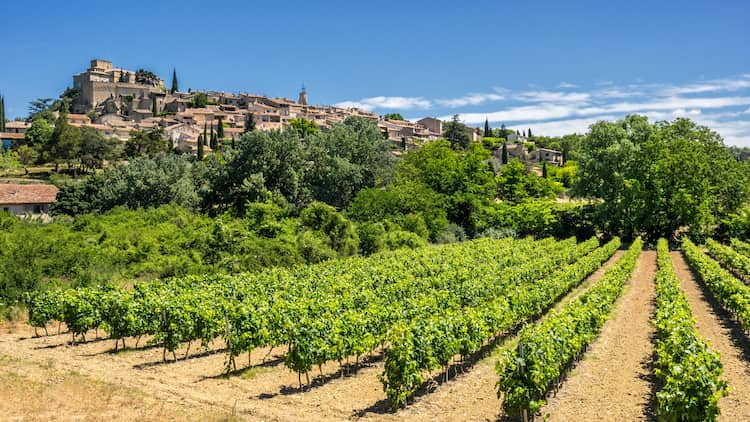Le Conseil Interprofessionnel des Vins de Provence - CIVP. Vinoptimo
