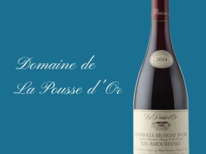 Domaine de la Pousse d’Or, sublime collection de grands bourgognes