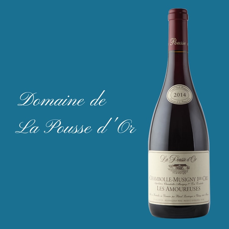 Domaine de la Pousse d’Or - Vinoptimo