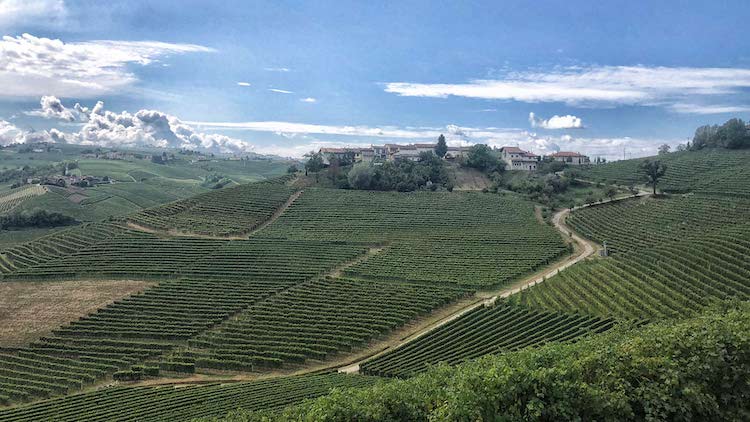 Domaine Roagna, de grands vins du Piémont italien. Vinoptimo