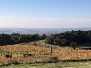 Domaine Saint Andéol, dans les meilleurs terroirs de Cairanne