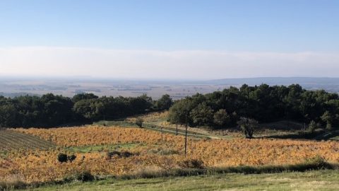 Domaine de Saint Andéol à Cairanne. Vinoptimo