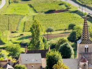 Dominique Laurent, négociant-éleveur de Grands Crus bourguignons