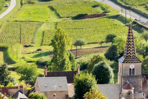 Dominique Laurent, négociant-éleveur de grands crus en Bourgogne. Vinoptimo