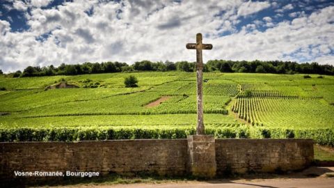 Emmanuel Rouget, grand vigneron de Bourgogne. Vinoptimo