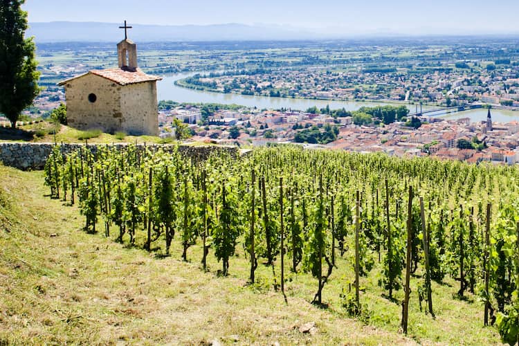 Hermitage la Chapelle. Vinoptimo