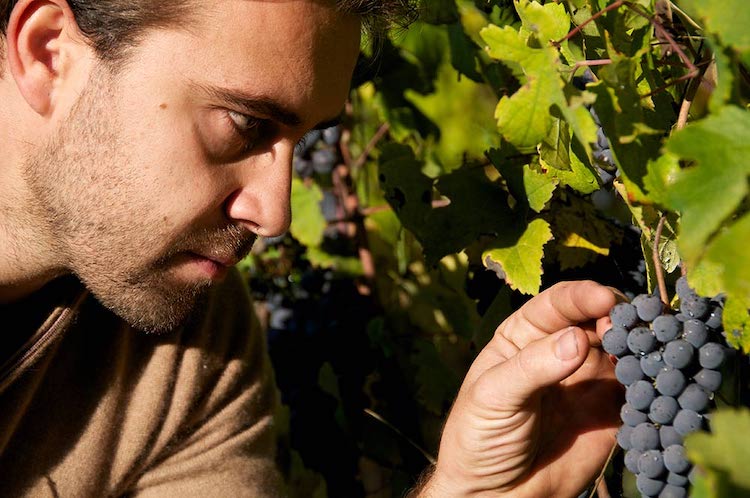 Luca Roagna, les grands vins du Piémont italien. Vinoptimo