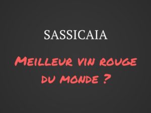 Sassicaia, la star italienne des grands vins