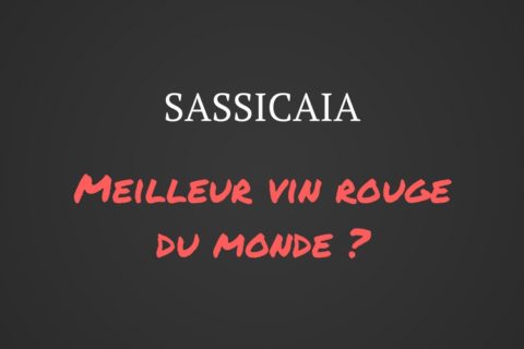 Sassicaia, un des meilleurs vins rouges du monde. Vinoptimo